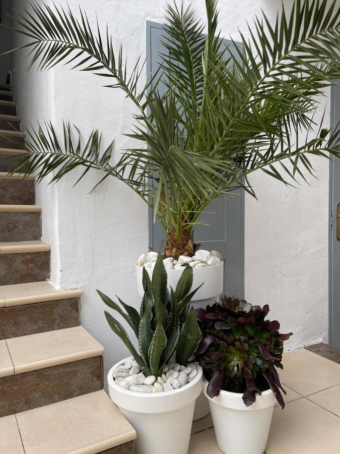 Cantoria Casa Dolly Boutique B&B المظهر الخارجي الصورة